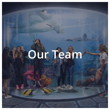 Our Team